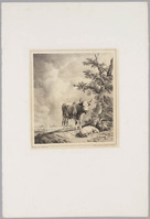 KG 09800a
<br/>
Staande stier met liggende geit en schaap
<br/>
<em>Verboeckhoeven, Eugène Joseph</em>